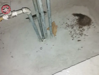 延平卫生间测漏水价格明细