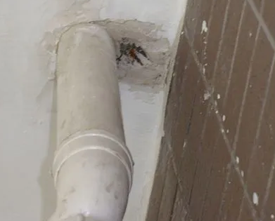 延平漏水检测哪家好